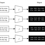Password hashing and the Ashley Madison hack
