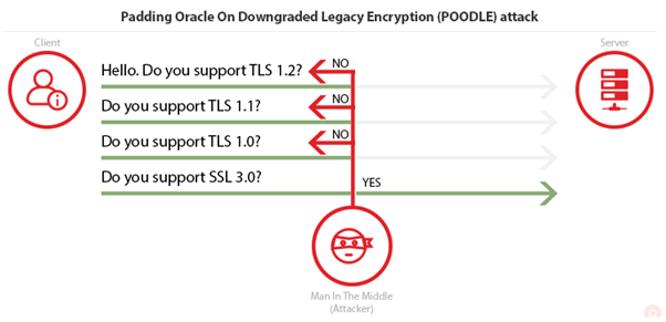 POODLE attack