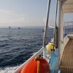 Acunetix Team Heads to Comino for an End of Summer BBQ