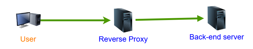 reverse proxy